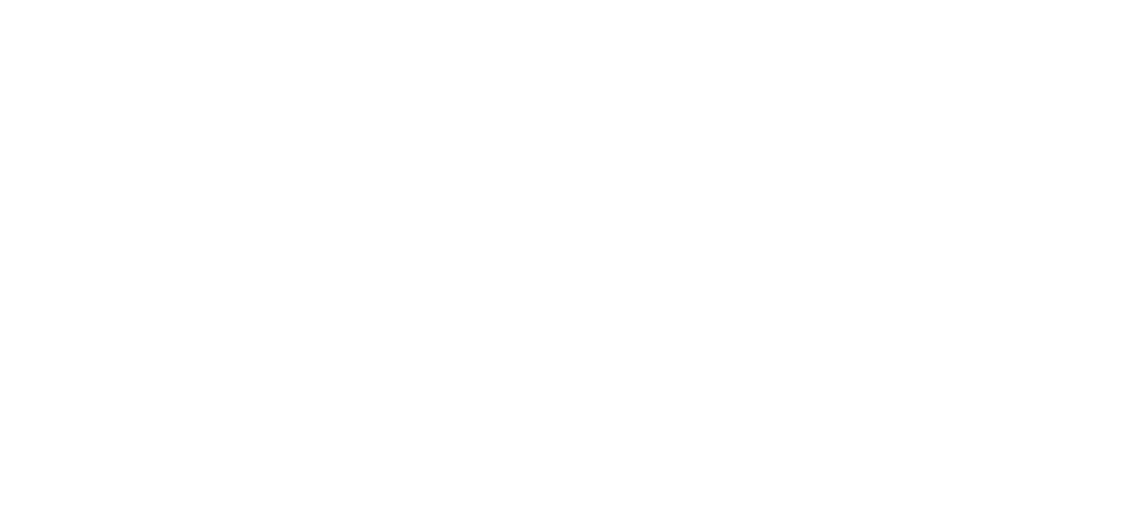 Elevate Consult White Logo