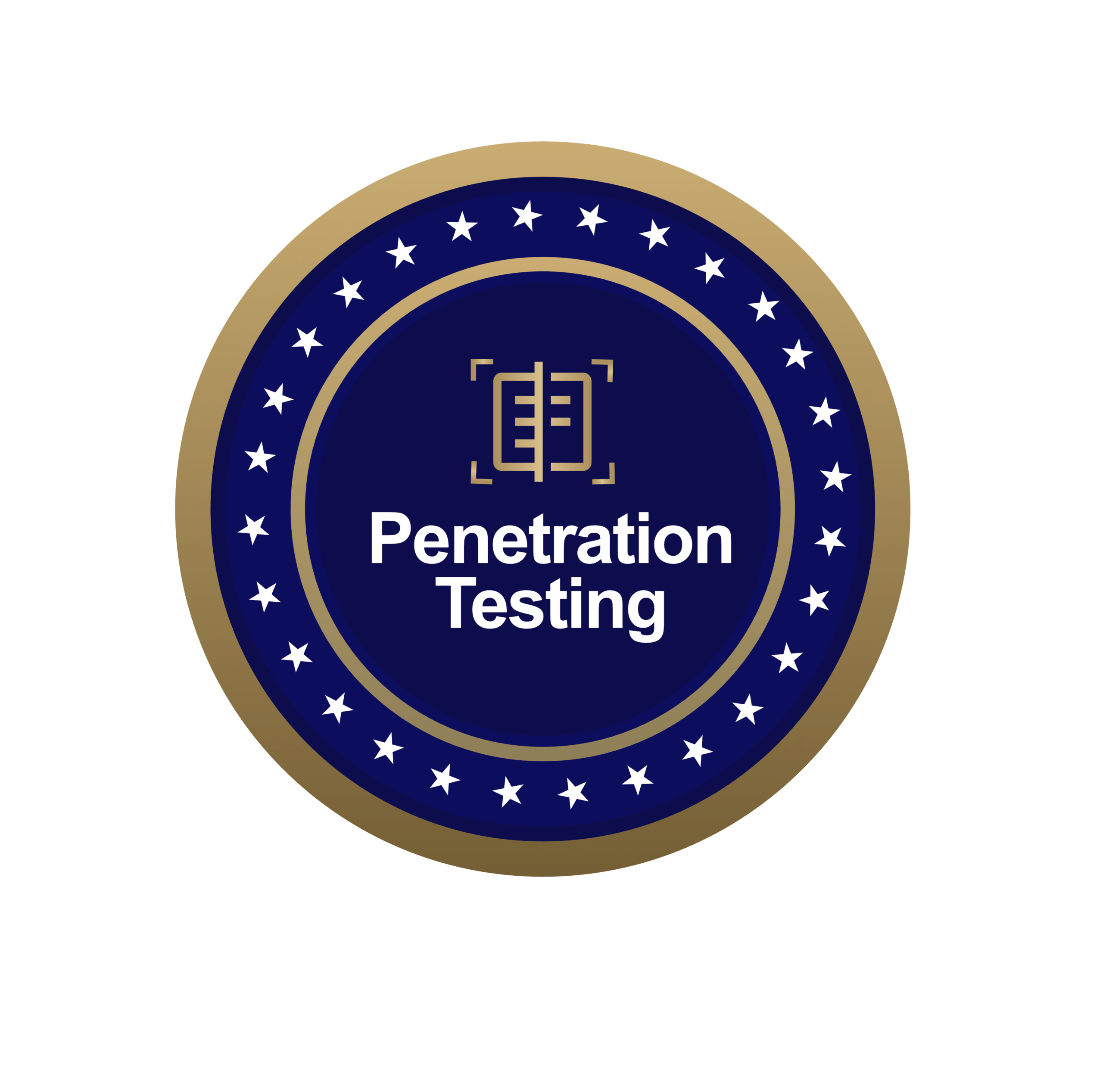 Penetration Testing