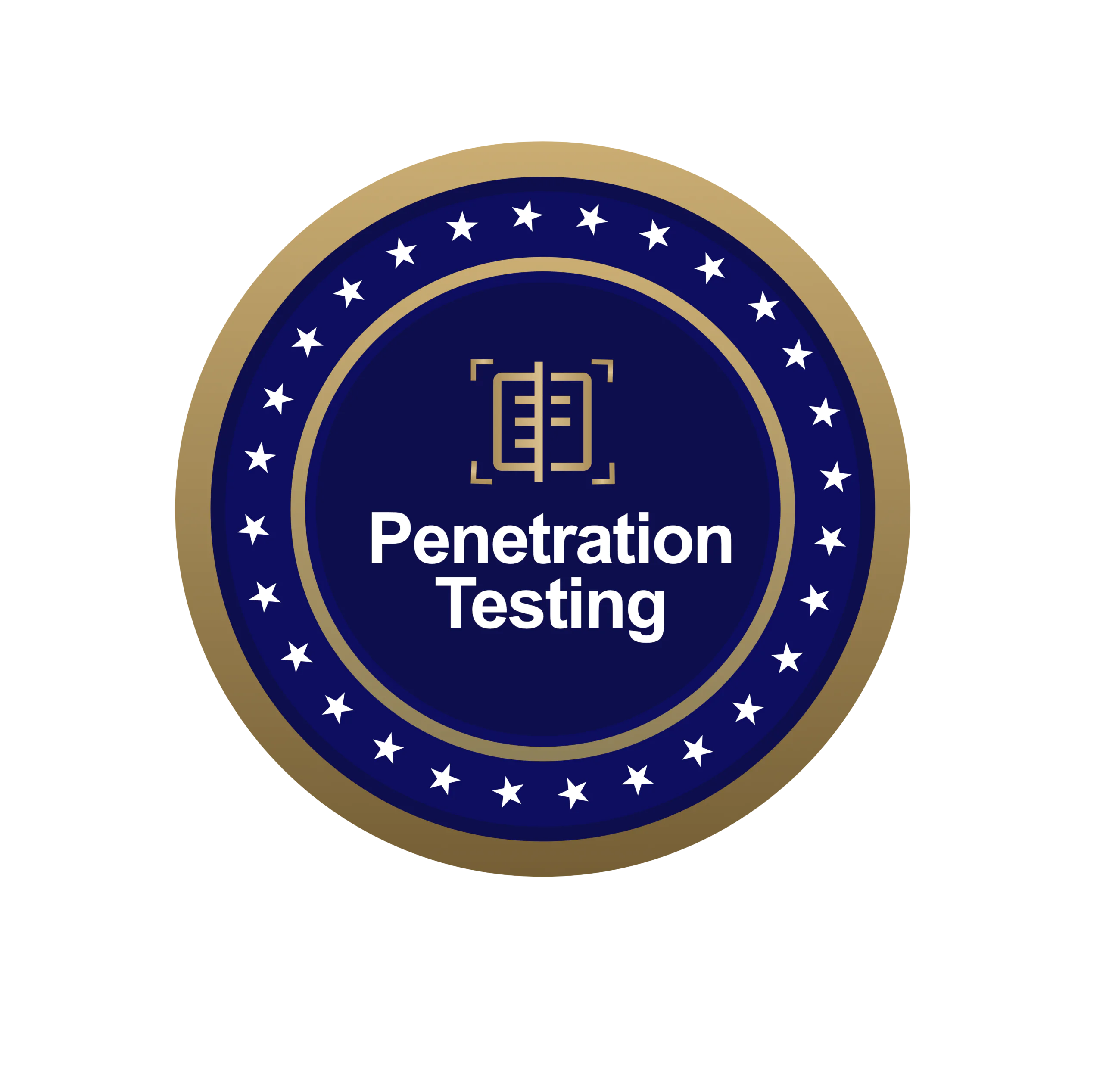 Penetration Testing